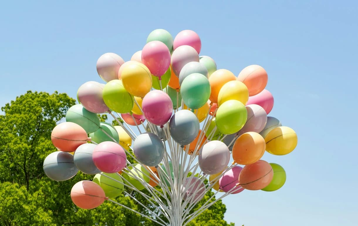 Celebrations & Get-Togethers